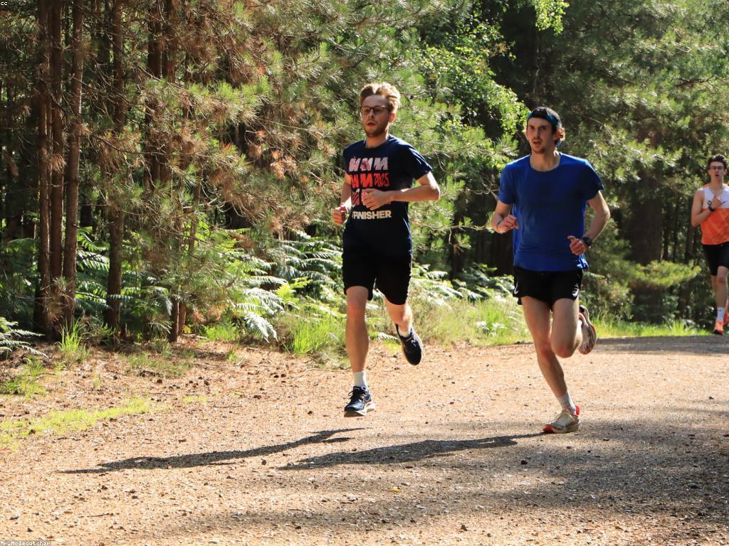 សារៈសំខាន់នៃសកម្មភាពនិងព្រឹត្តិការណ៍